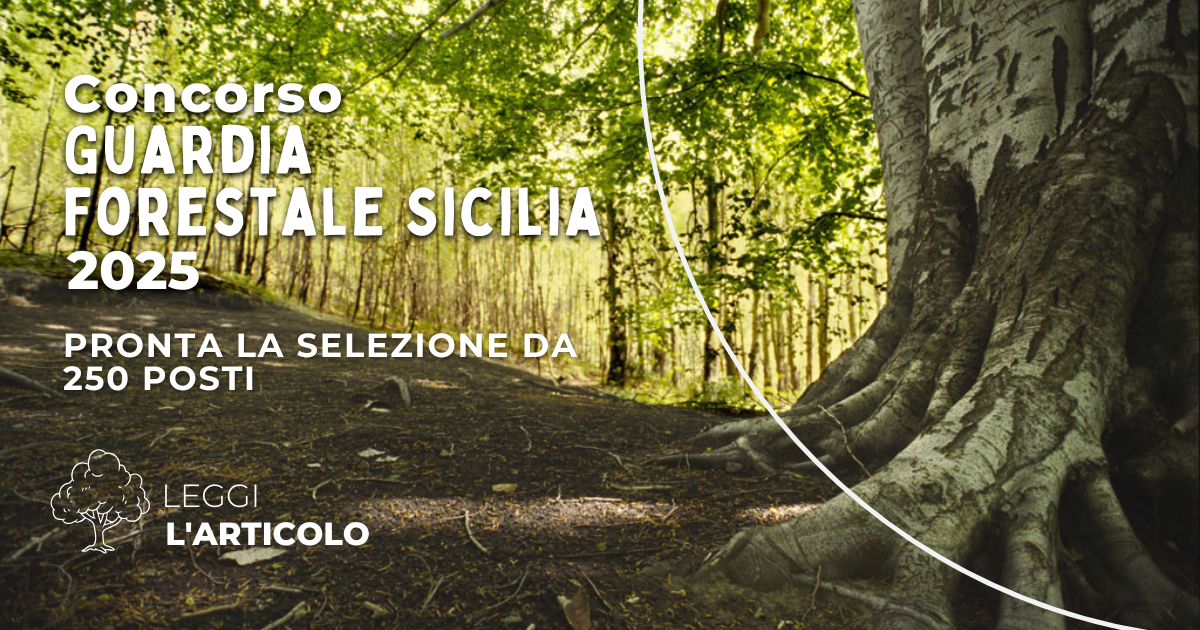 Concorso Forestale Sicilia 2025