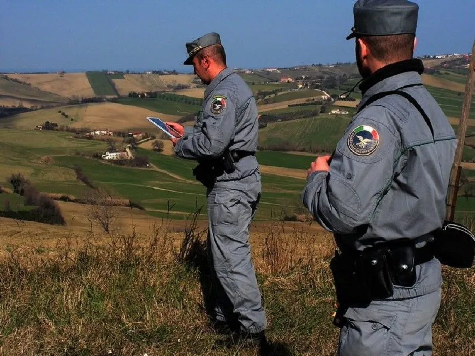 concorso Sicilia forestale